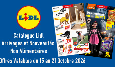 Lidl Catalogue valable du 15 au 21 octobre 2026