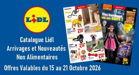 Lidl Catalogue valable du 15 au 21 octobre 2026