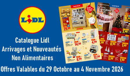 Lidl catalogue valable du 29 octobre au 2 novembre 2026